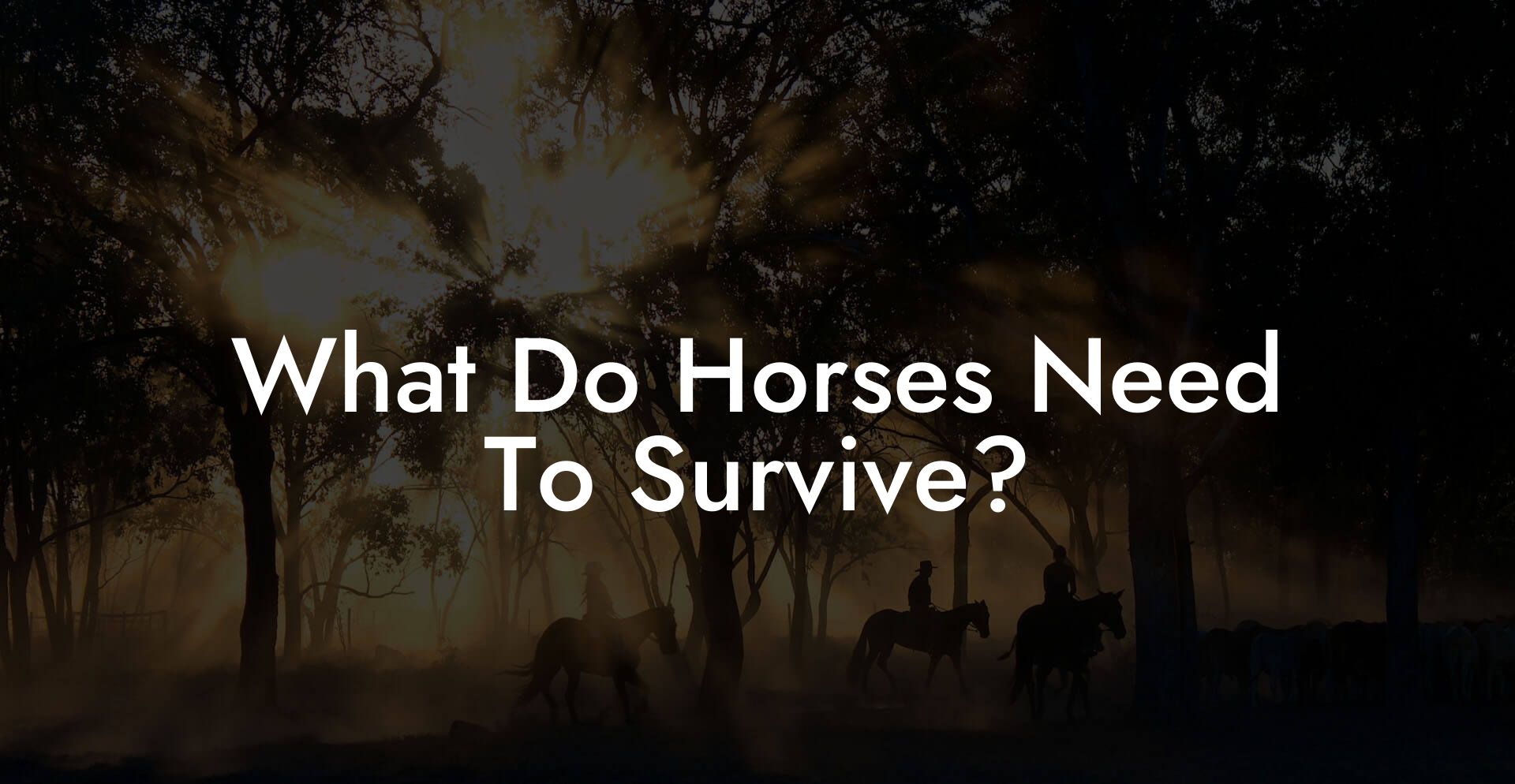 What Do Horses Need To Survive?