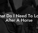 What Do I Need To Look After A Horse