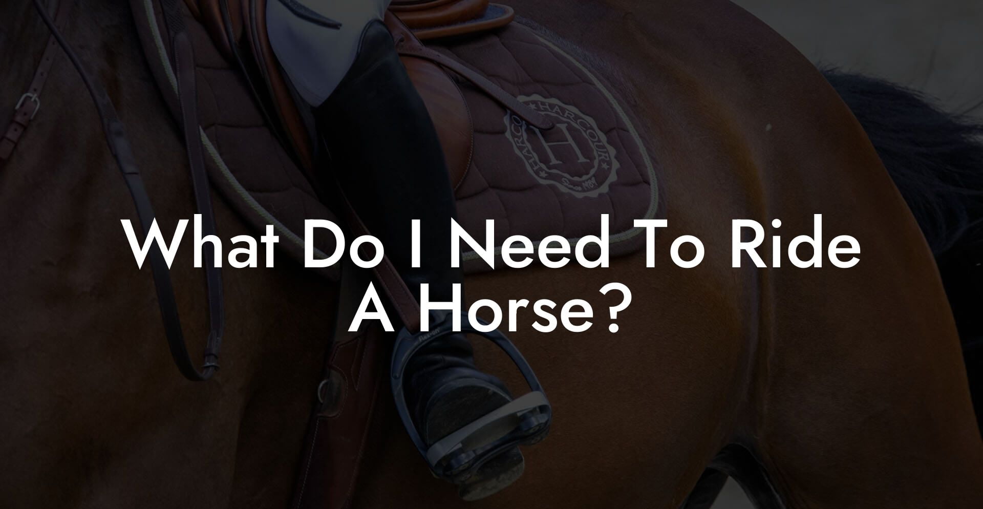 What Do I Need To Ride A Horse?