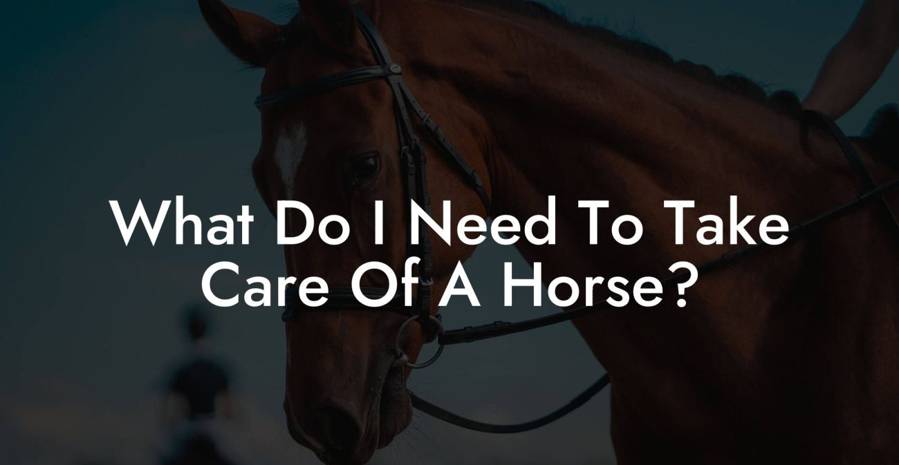 What Do I Need To Take Care Of A Horse?