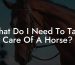 What Do I Need To Take Care Of A Horse?