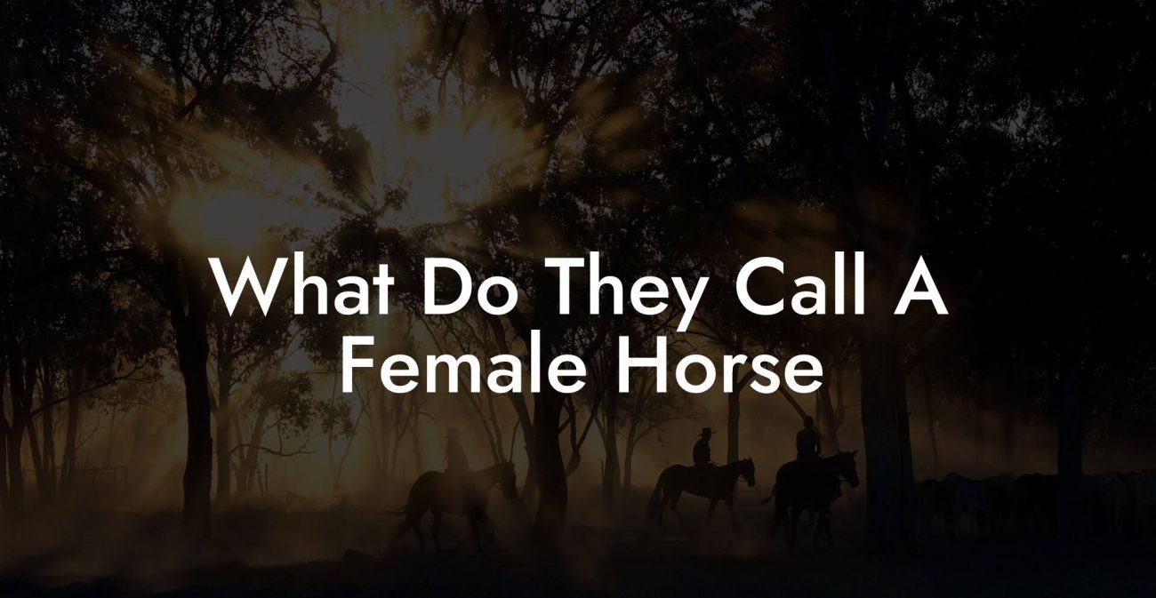 What Do They Call A Female Horse