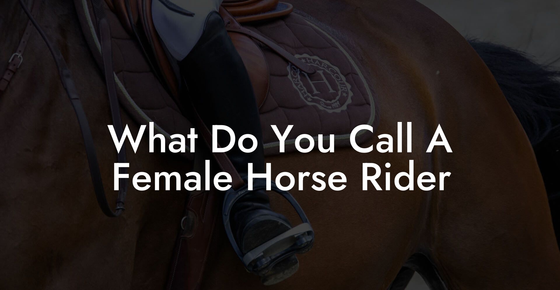 What Do You Call A Female Horse Rider