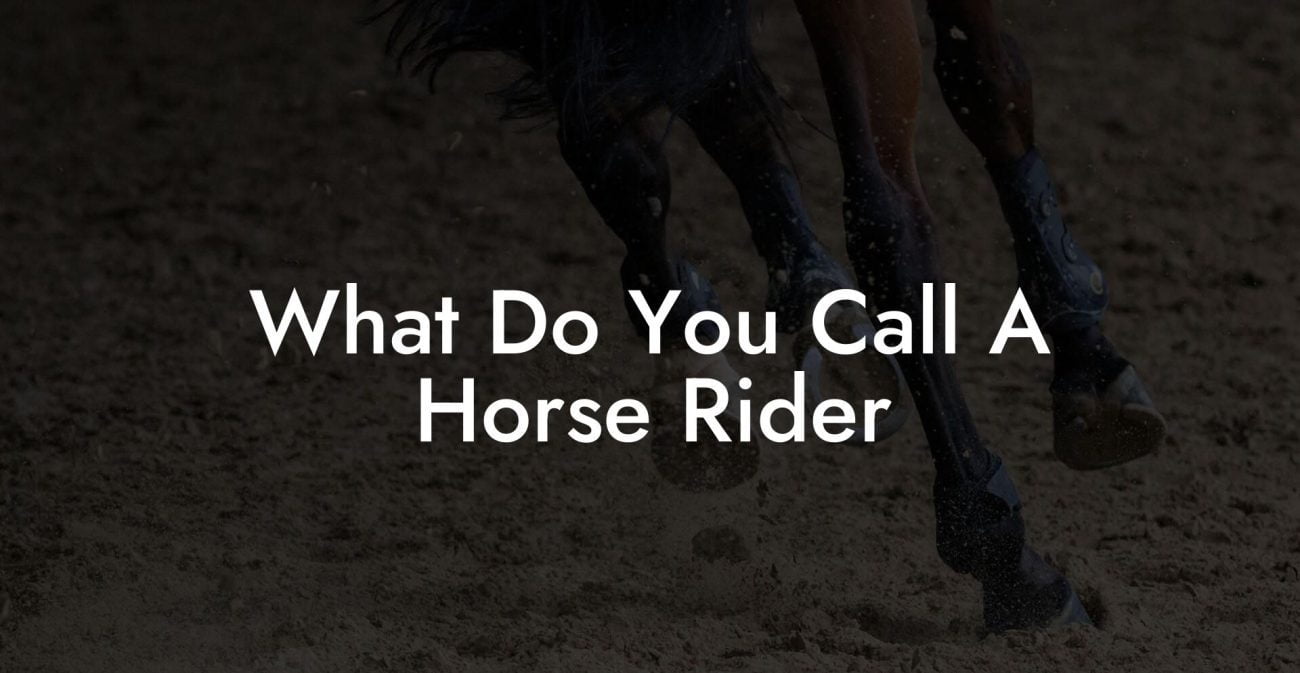 What Do You Call A Horse Rider