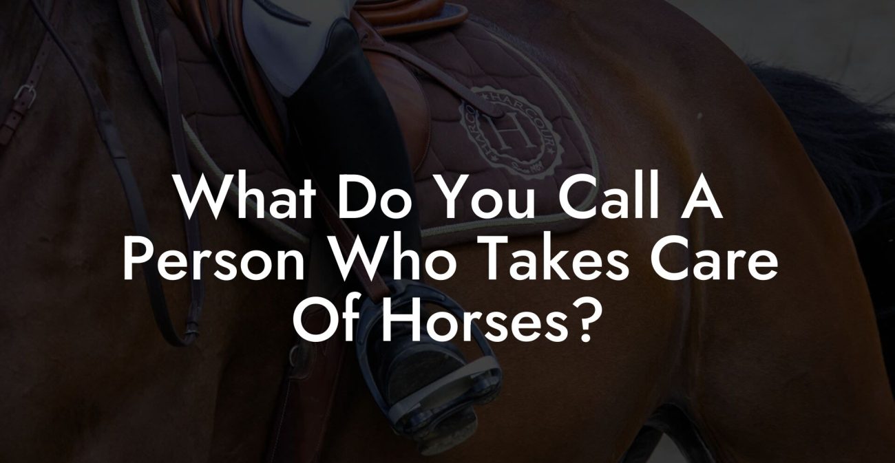 What Do You Call A Person Who Takes Care Of Horses?