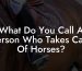 What Do You Call A Person Who Takes Care Of Horses?