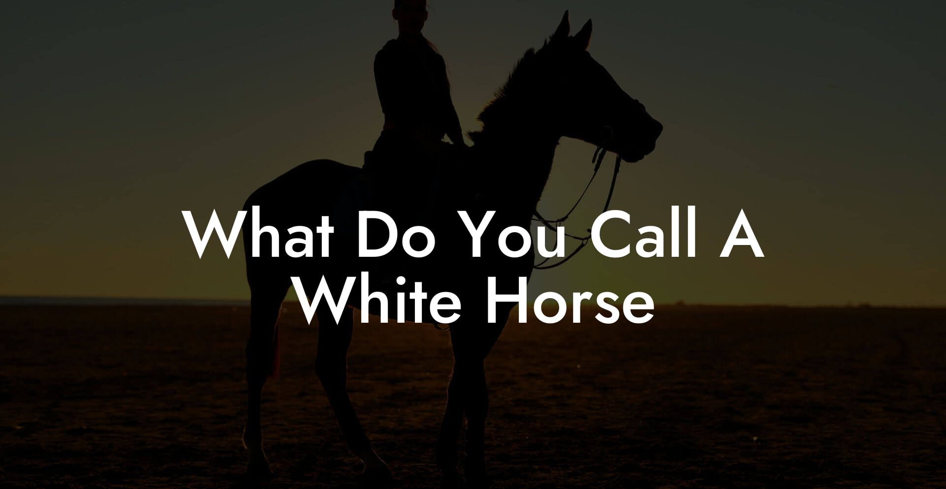 What Do You Call A White Horse