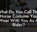 What Do You Call The Horse Costume You Wear With You As A Rider?