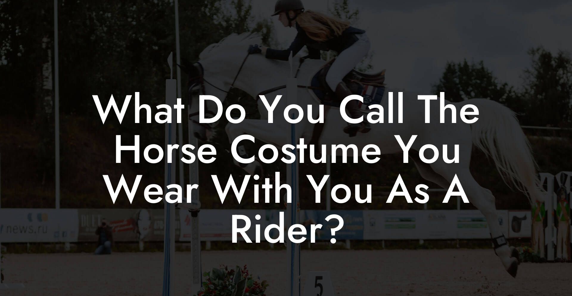 What Do You Call The Horse Costume You Wear With You As A Rider?