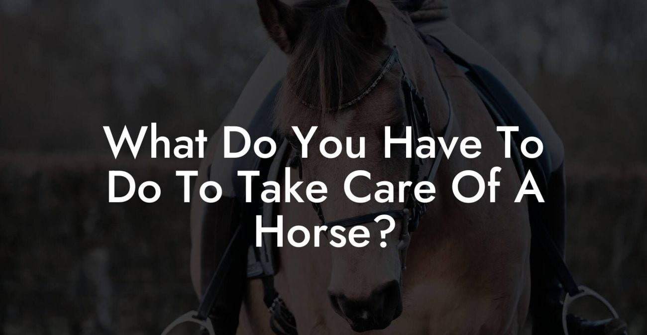 What Do You Have To Do To Take Care Of A Horse?