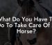 What Do You Have To Do To Take Care Of A Horse?