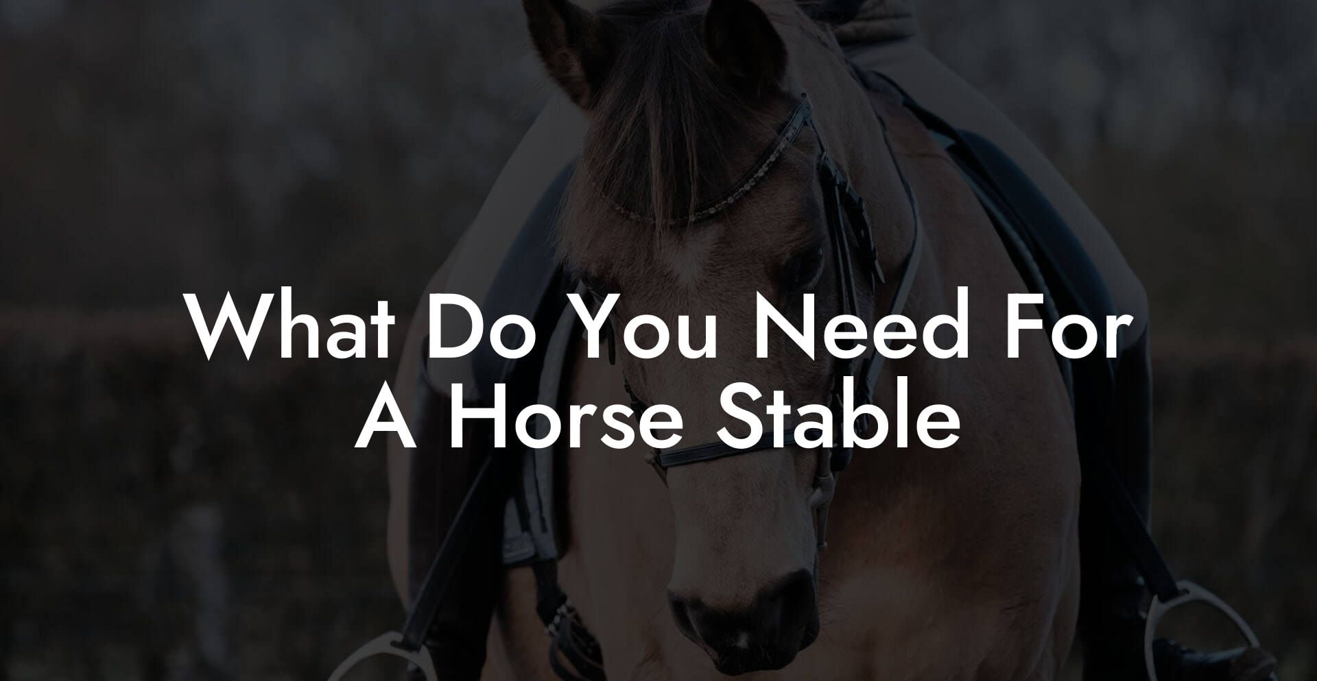 What Do You Need For A Horse Stable