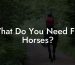 What Do You Need For Horses?