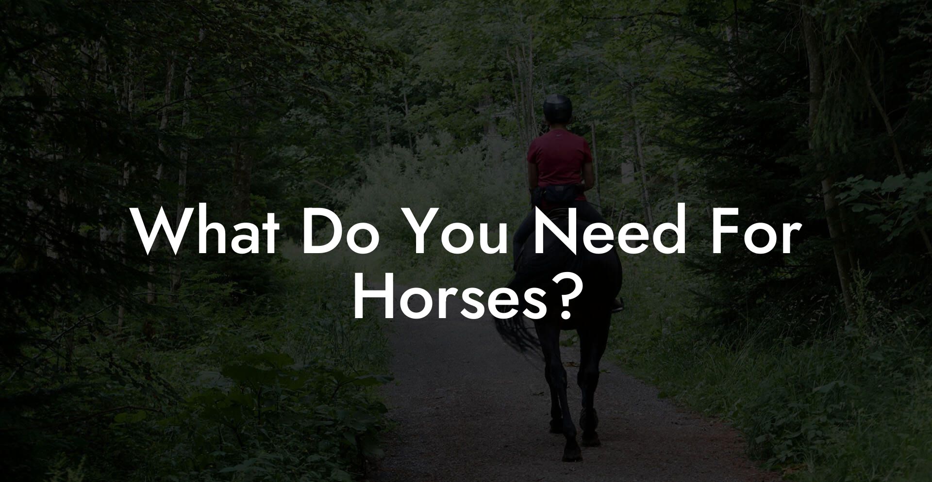 What Do You Need For Horses?