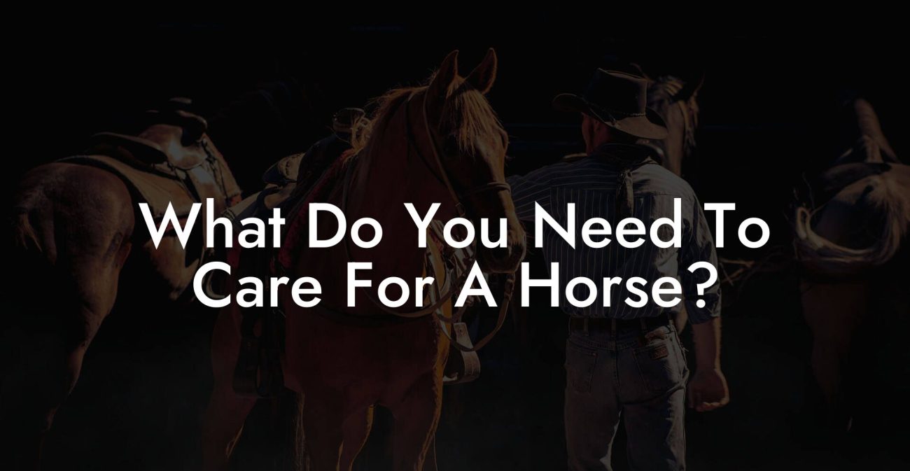 What Do You Need To Care For A Horse?