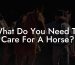 What Do You Need To Care For A Horse