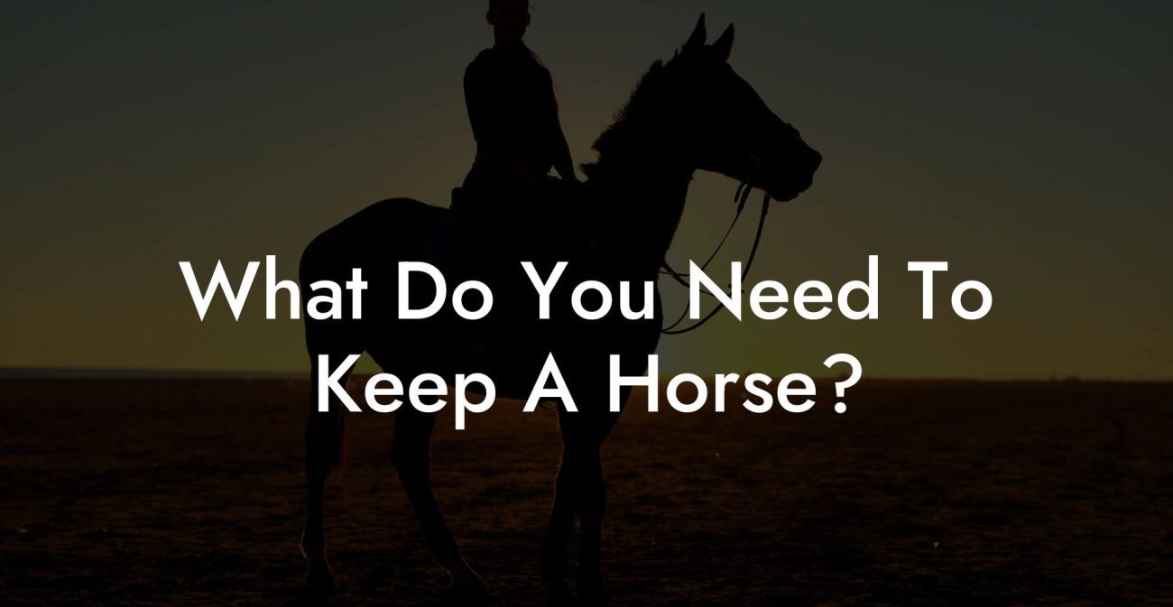 What Do You Need To Keep A Horse?