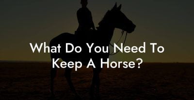 What Do You Need To Keep A Horse? What Do You Need To Keep A Horse?
