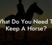 What Do You Need To Keep A Horse?