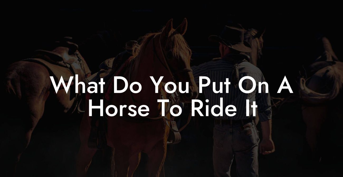 What Do You Put On A Horse To Ride It