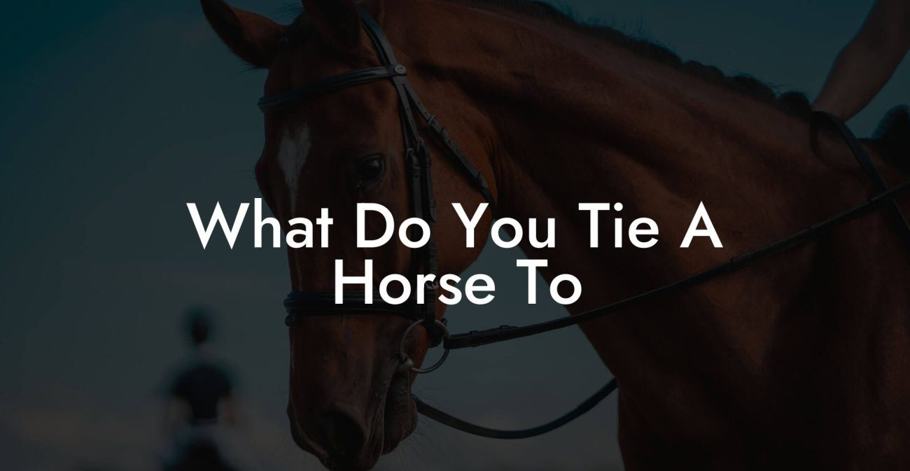 What Do You Tie A Horse To