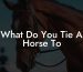 What Do You Tie A Horse To