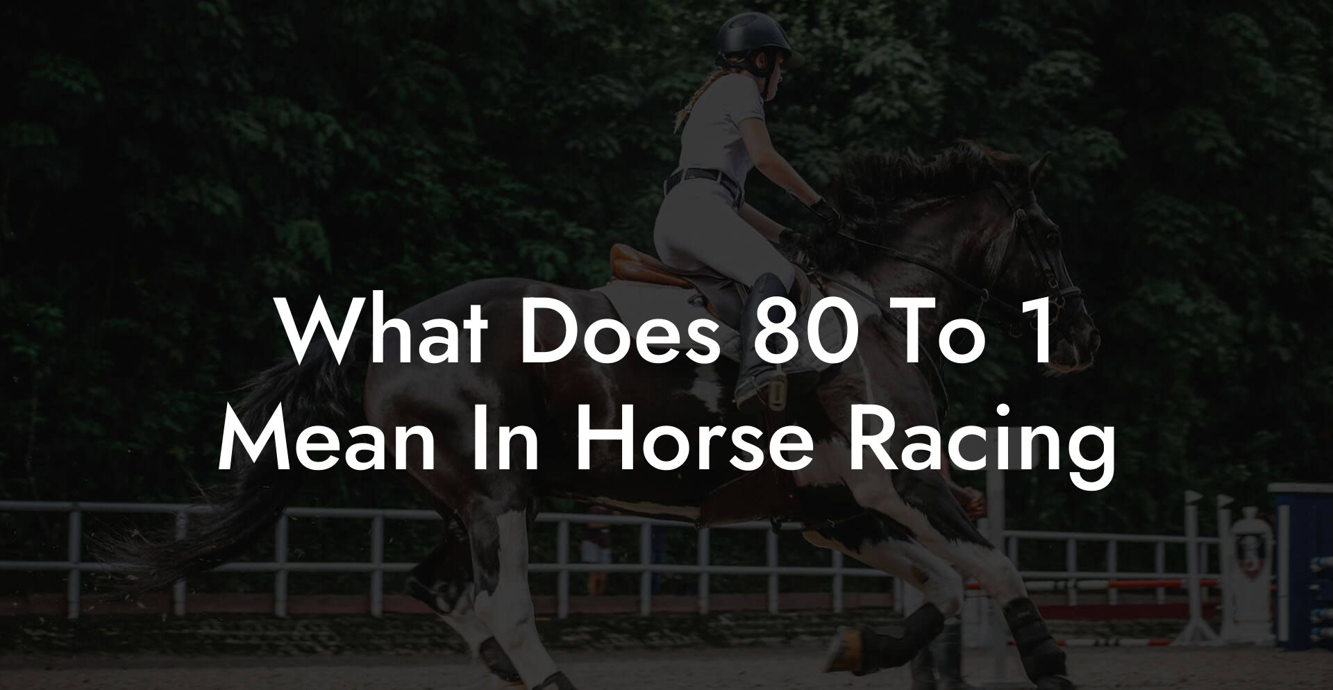 What Does 80 To 1 Mean In Horse Racing