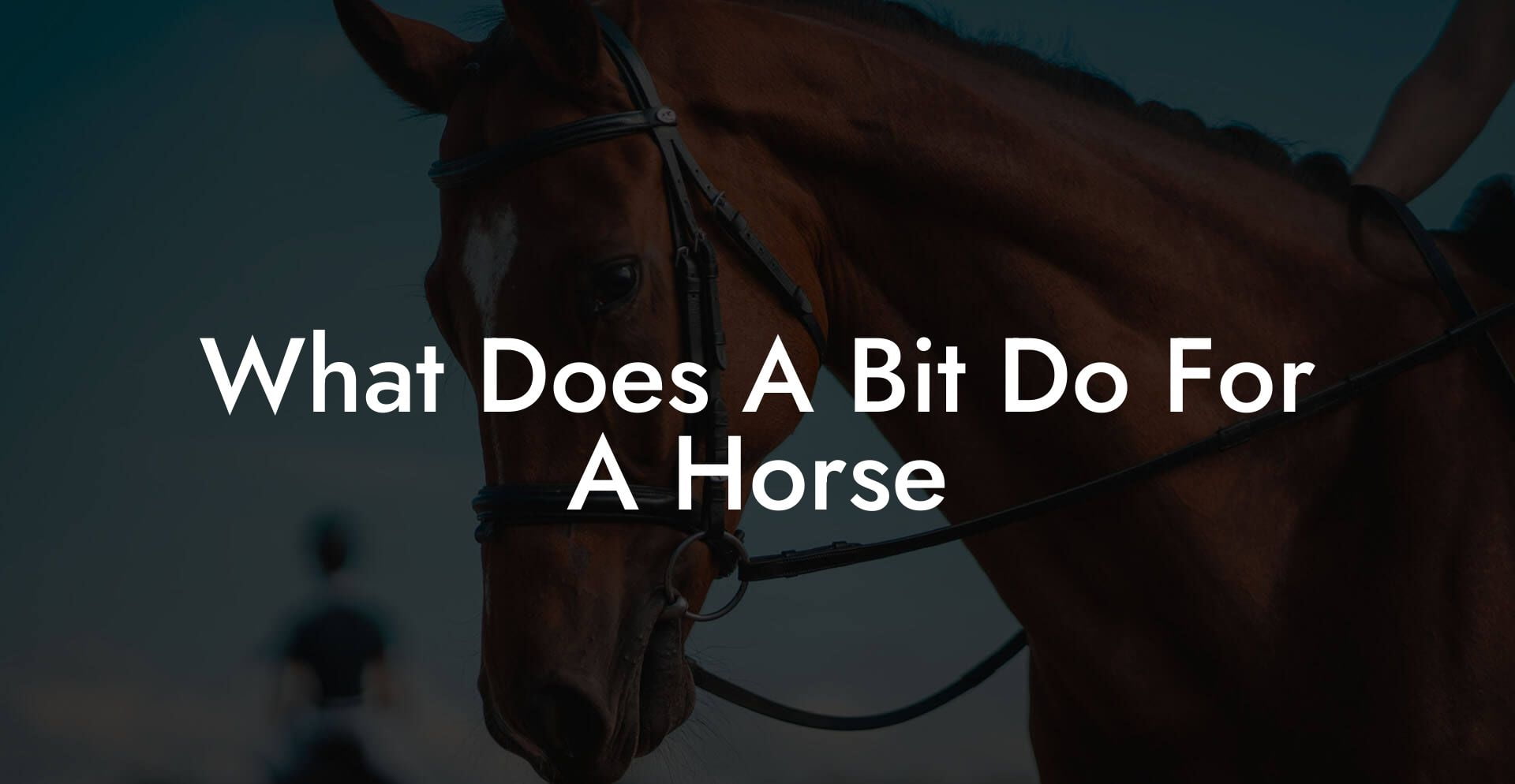 What Does A Bit Do For A Horse