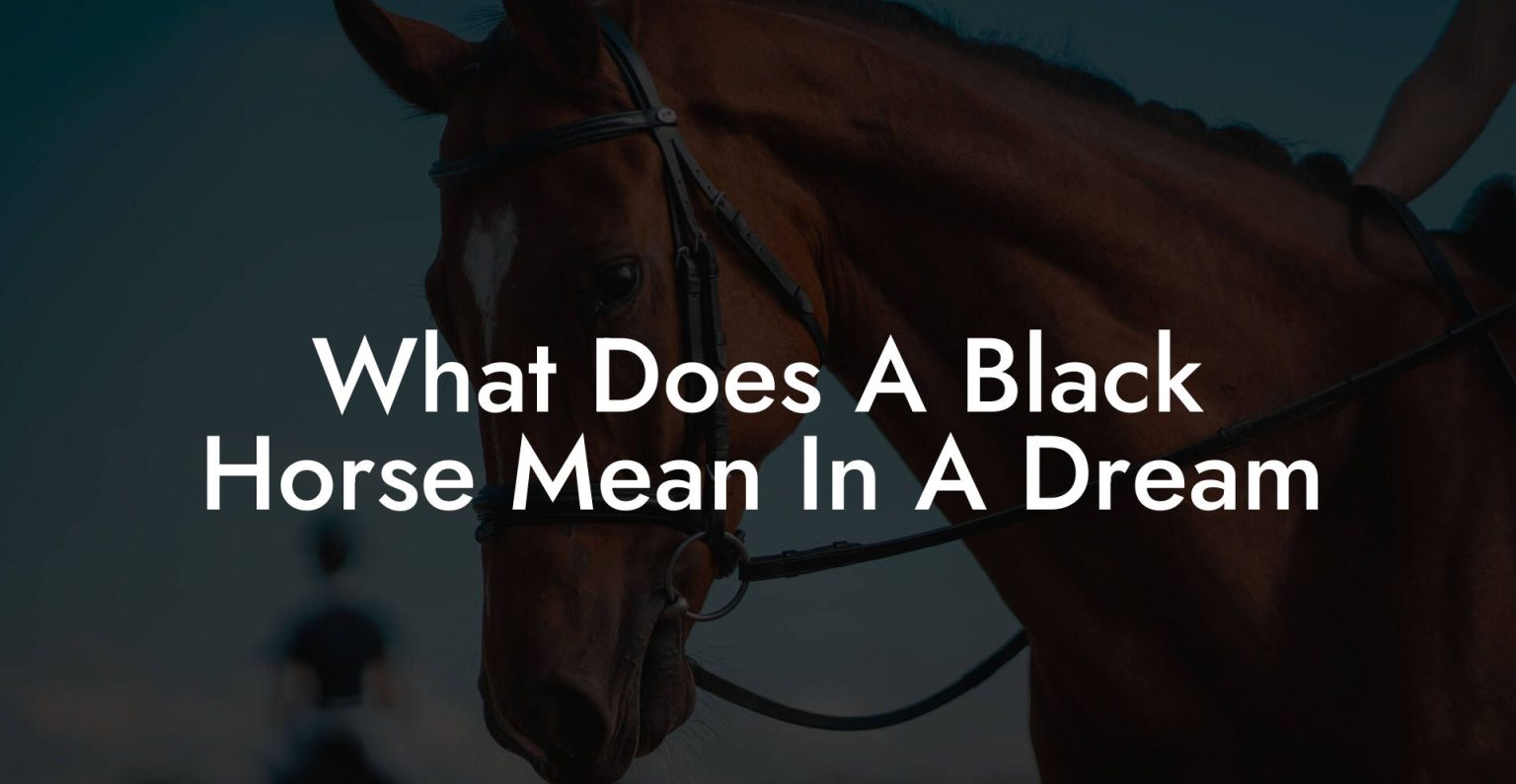 what-does-a-black-horse-mean-in-a-dream-how-to-own-a-horse