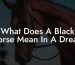 What Does A Black Horse Mean In A Dream