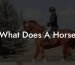 What Does A Horse