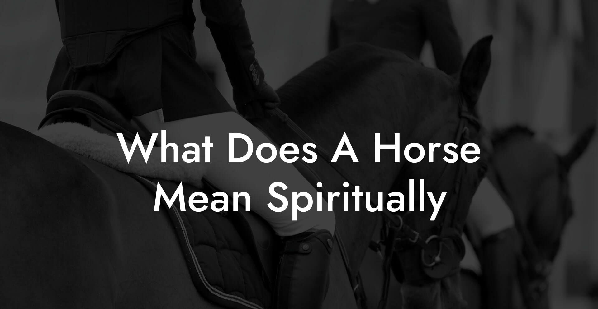 What Does A Horse Mean Spiritually