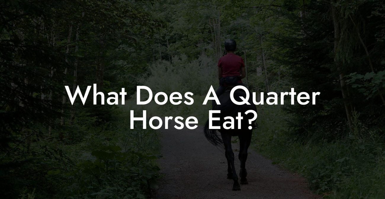 What Does A Quarter Horse Eat?