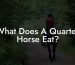 What Does A Quarter Horse Eat?
