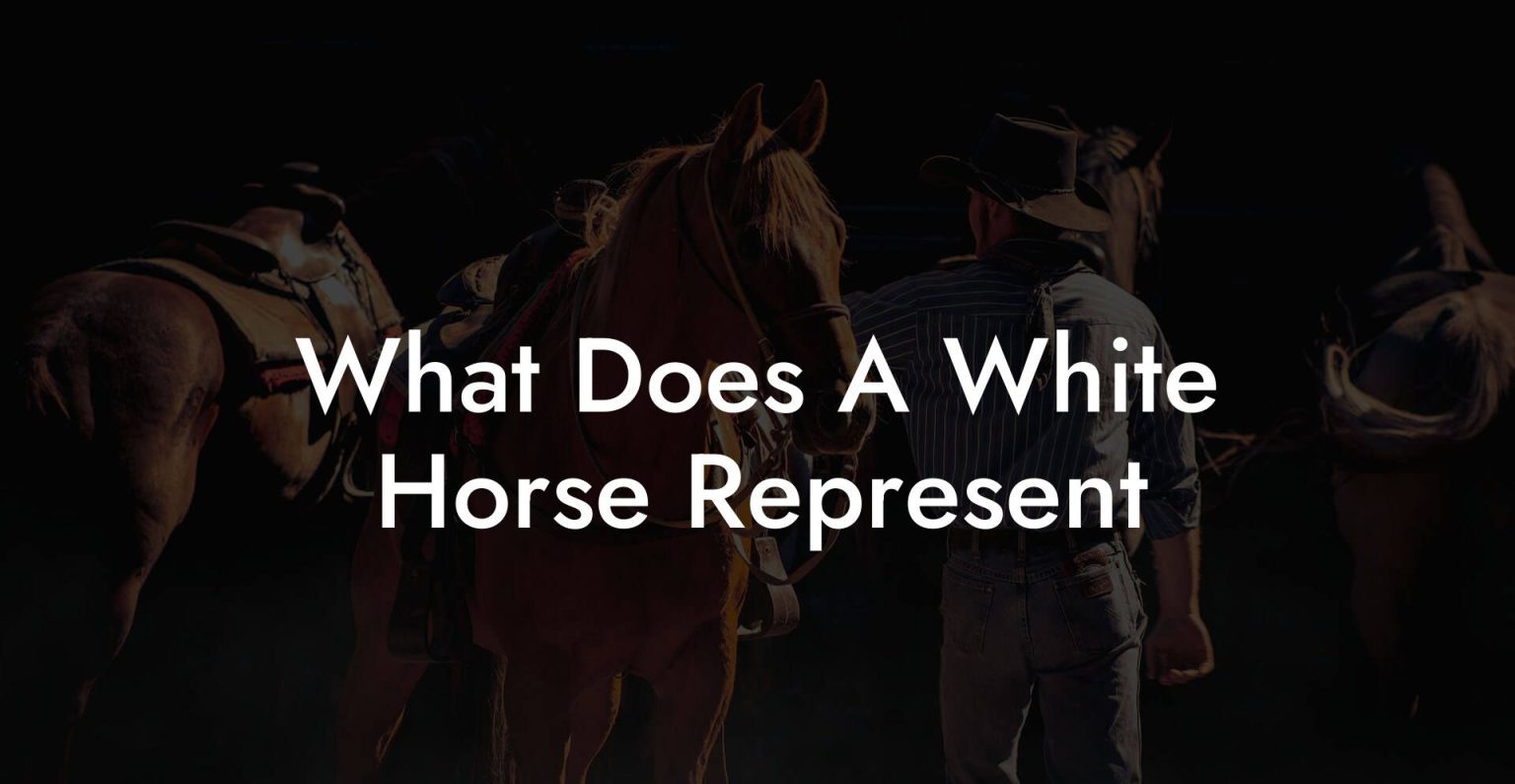 What Does A White Horse Represent How To Own a Horse