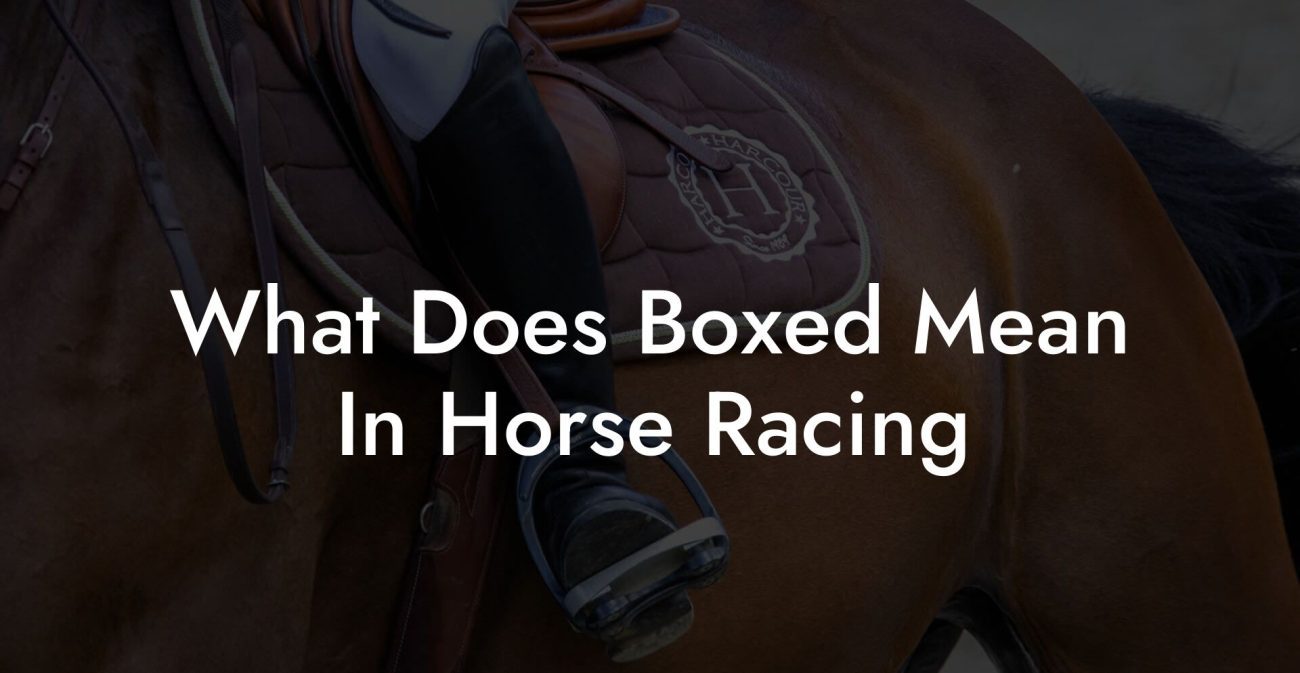 What Does Boxed Mean In Horse Racing