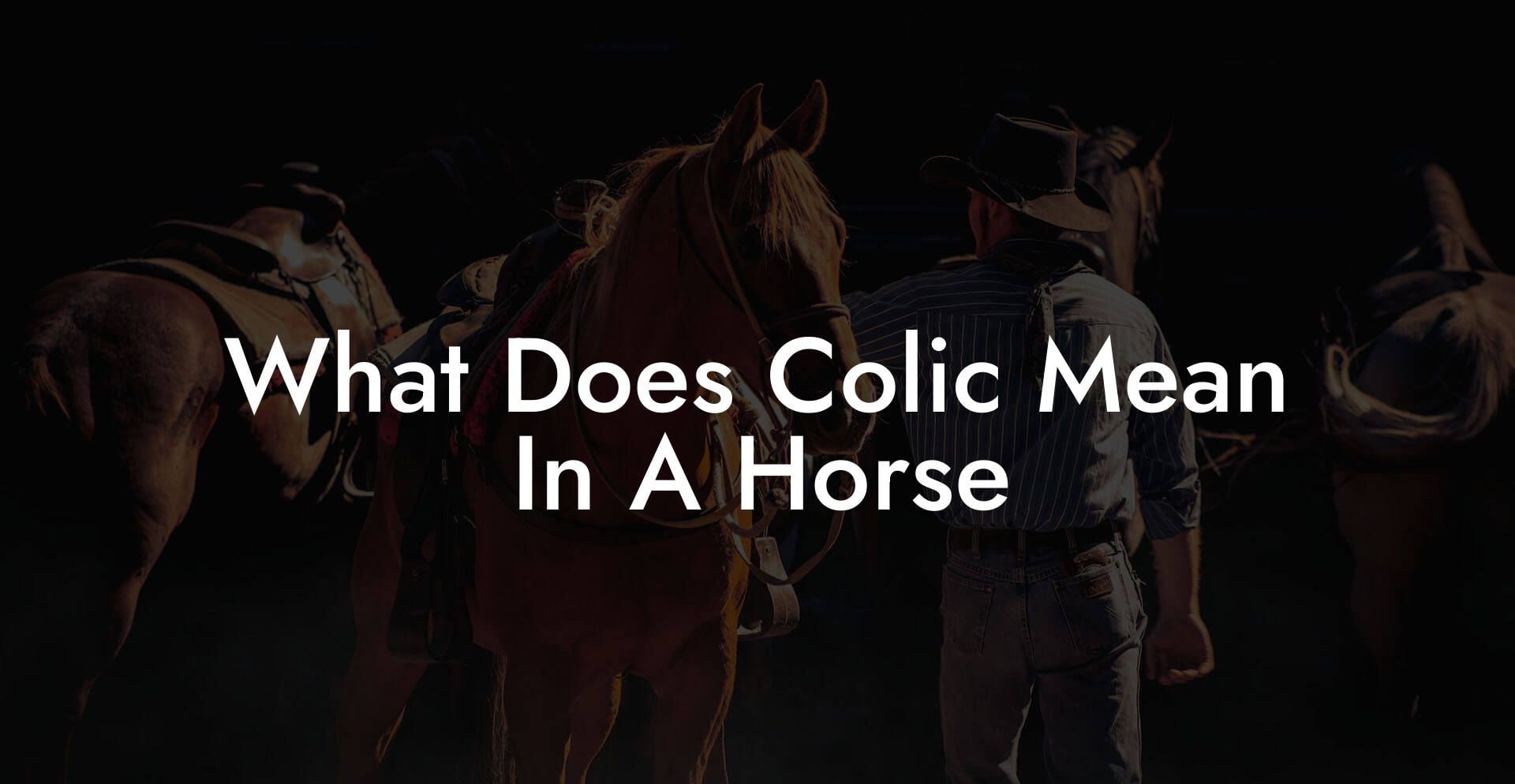 What Does Colic Mean In A Horse