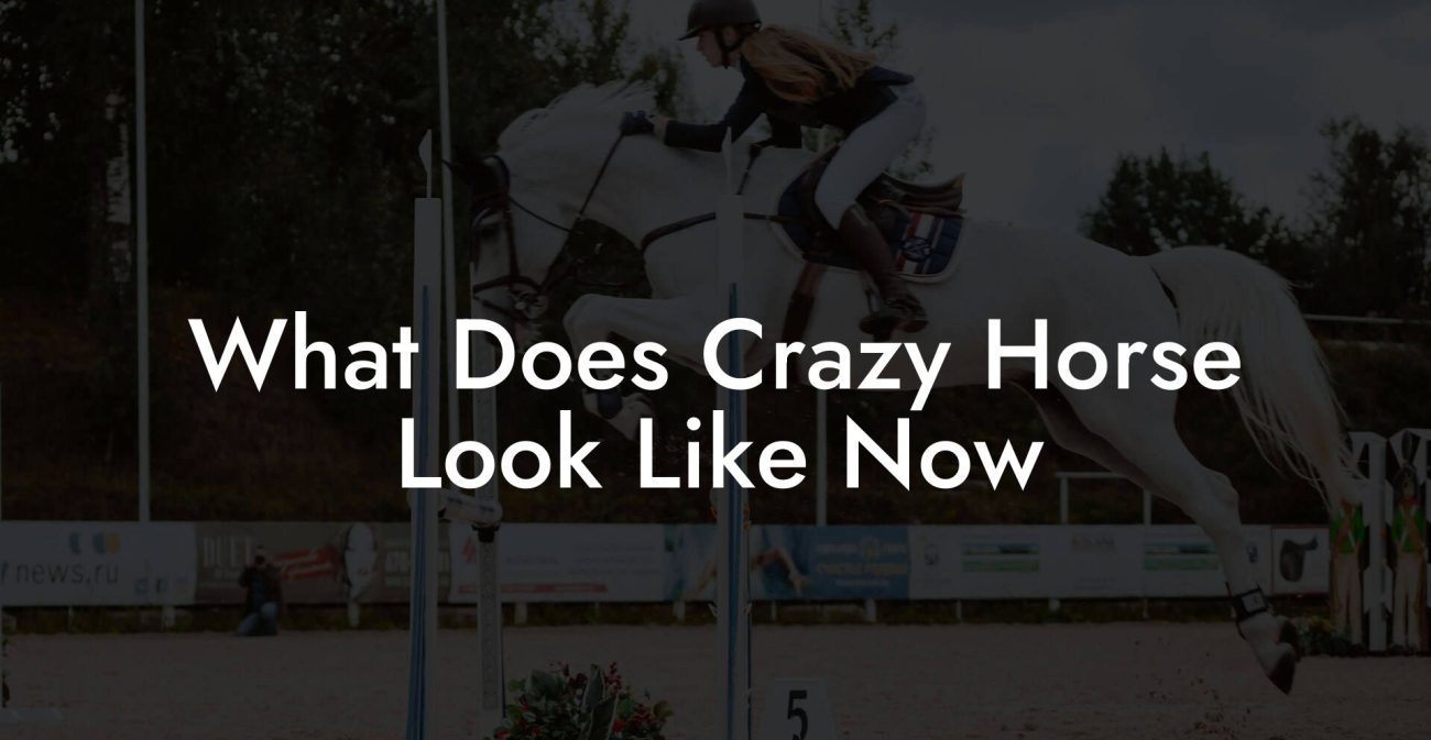 What Does Crazy Horse Look Like Now