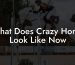 What Does Crazy Horse Look Like Now