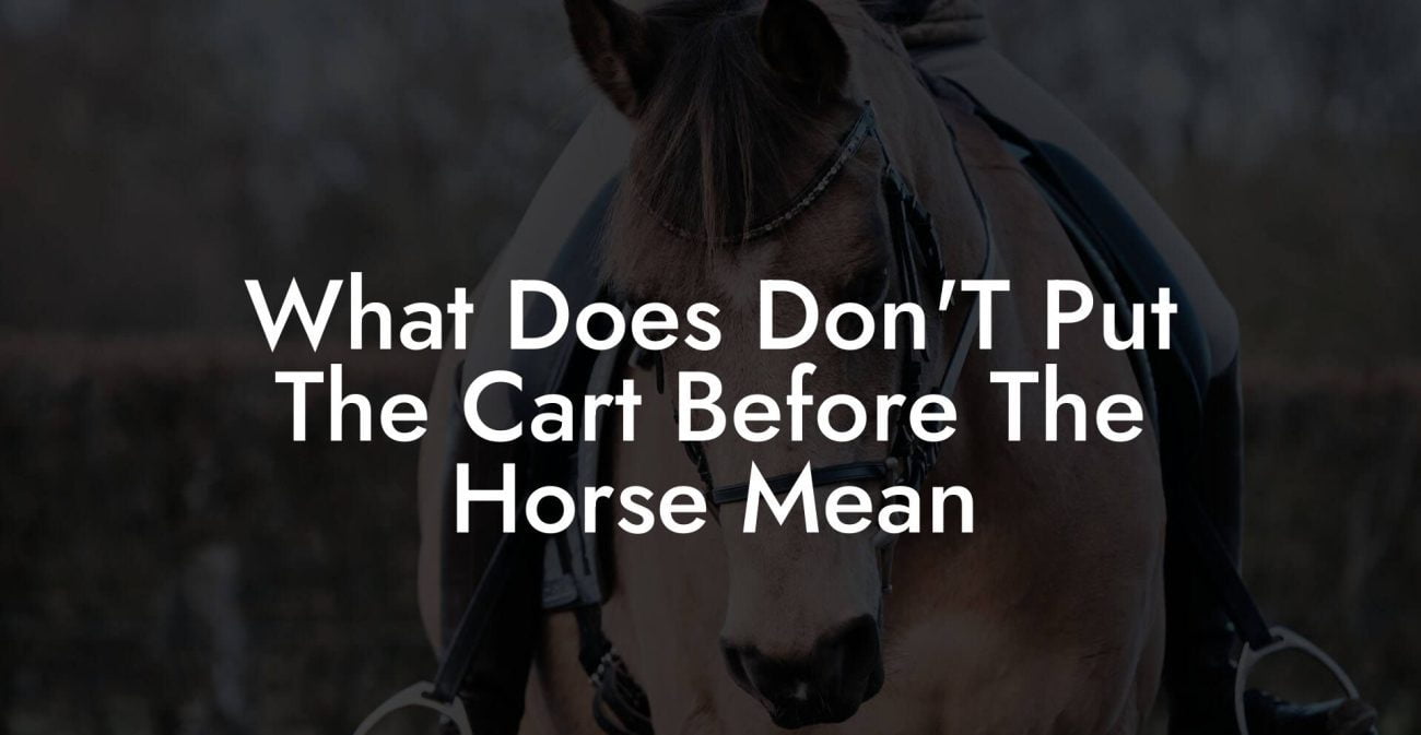 What Does Don'T Put The Cart Before The Horse Mean