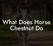 What Does Horse Chestnut Do