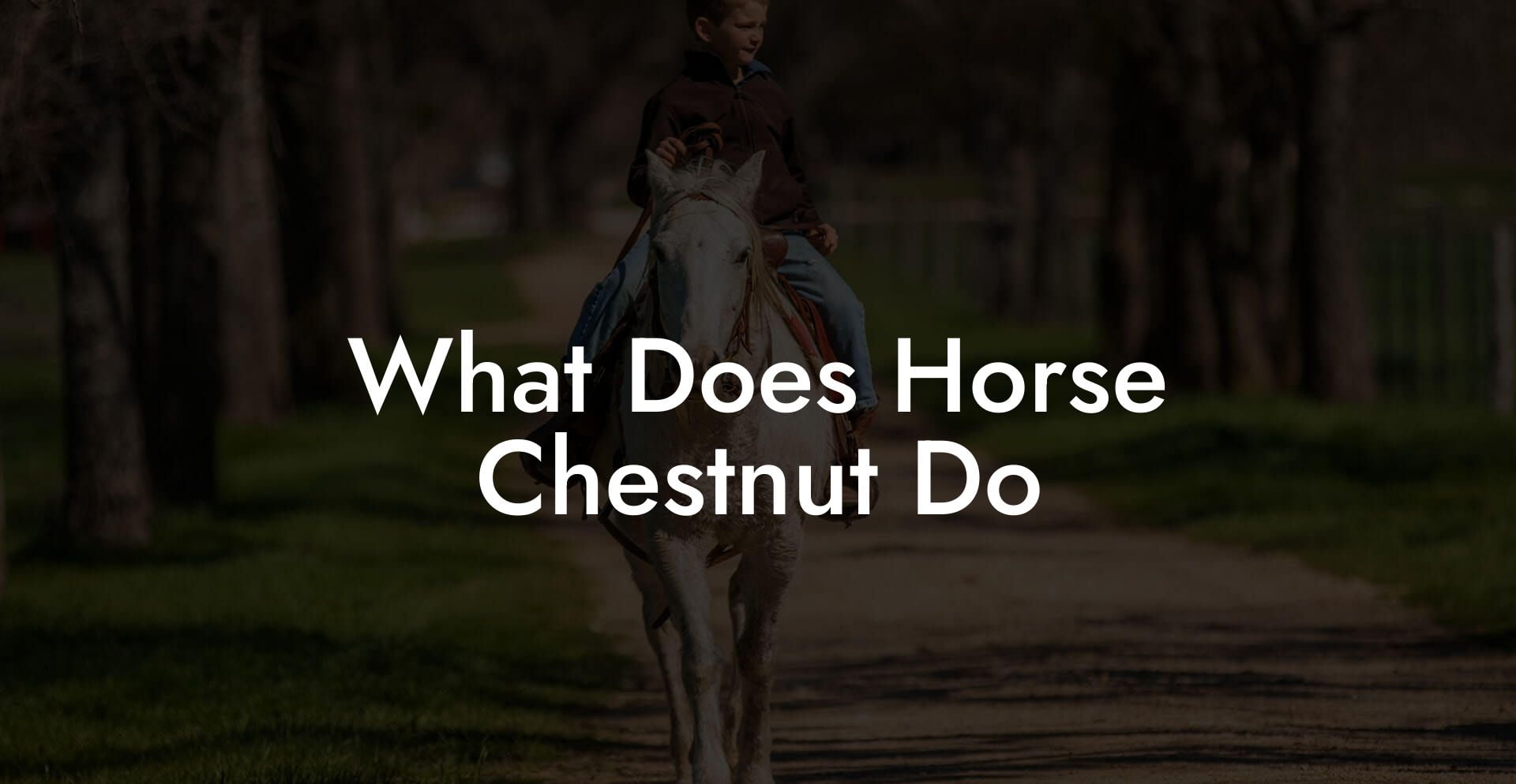 What Does Horse Chestnut Do