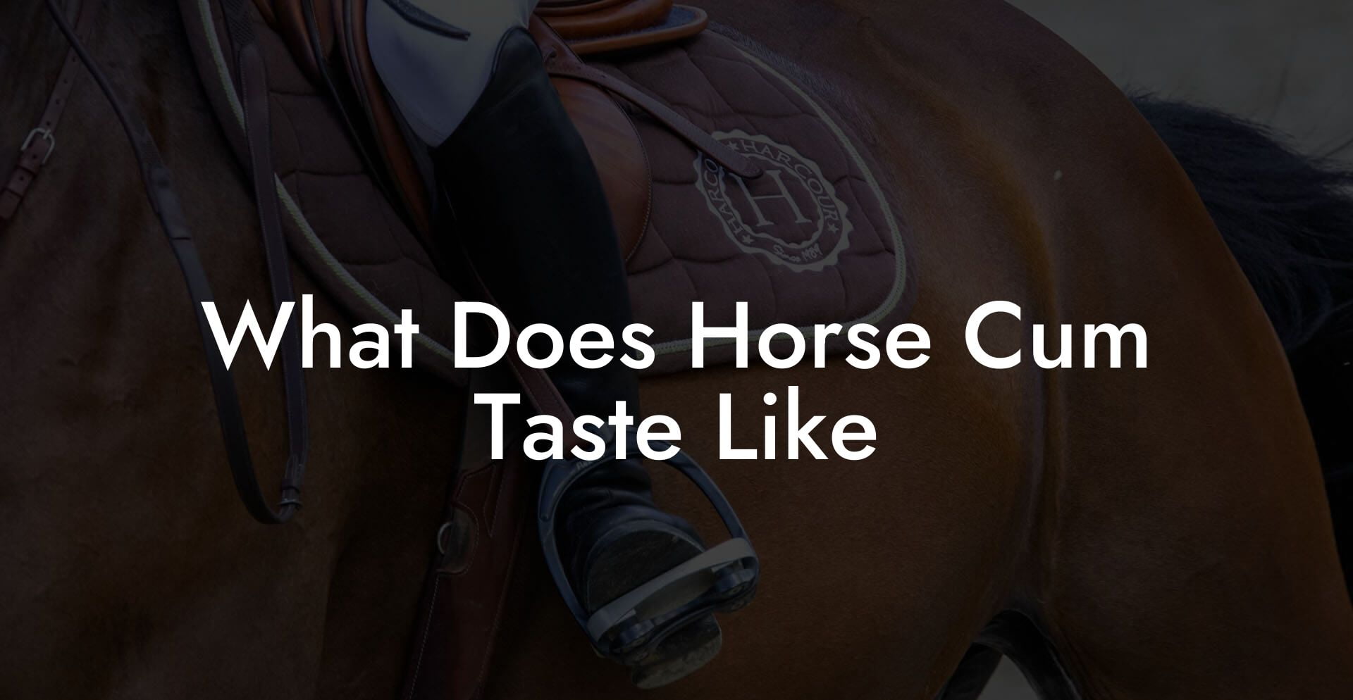 What Does Horse Cum Taste Like