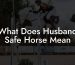 What Does Husband Safe Horse Mean