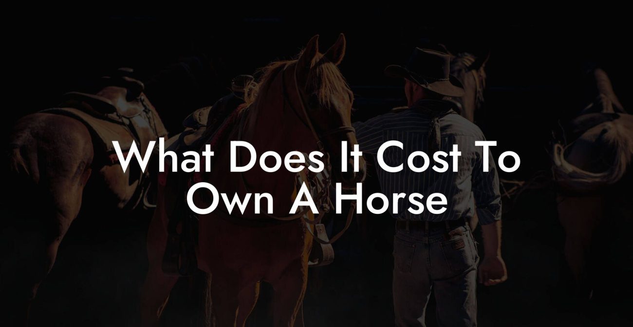 What Does It Cost To Own A Horse