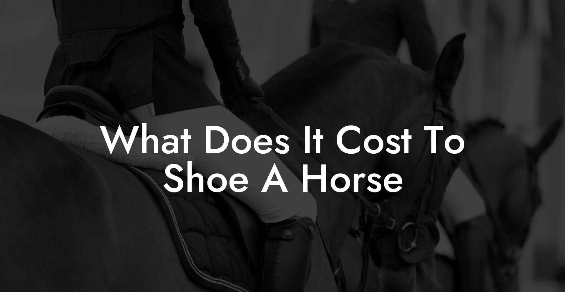 What Does It Cost To Shoe A Horse