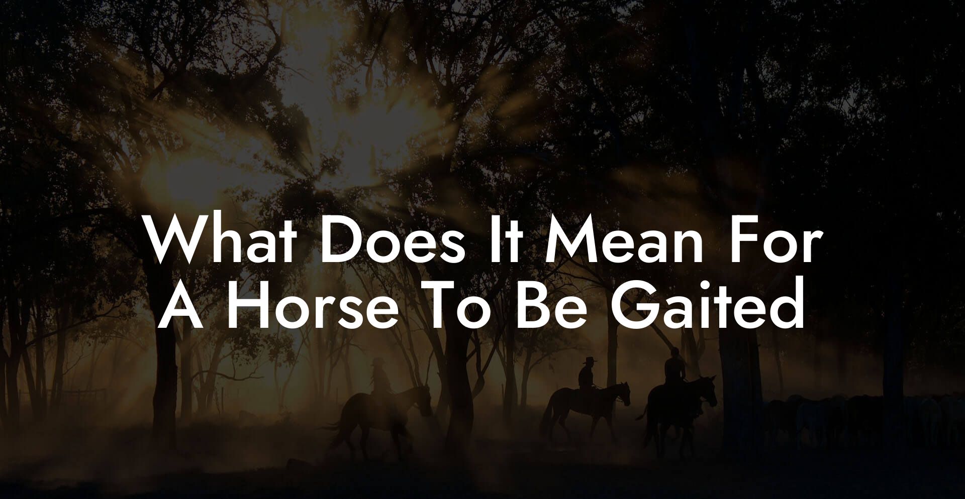 What Does It Mean For A Horse To Be Gaited