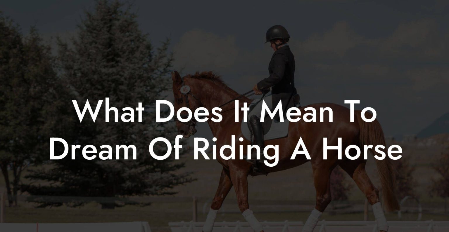What Does It Mean To Dream Of Riding A Horse How To Own a Horse