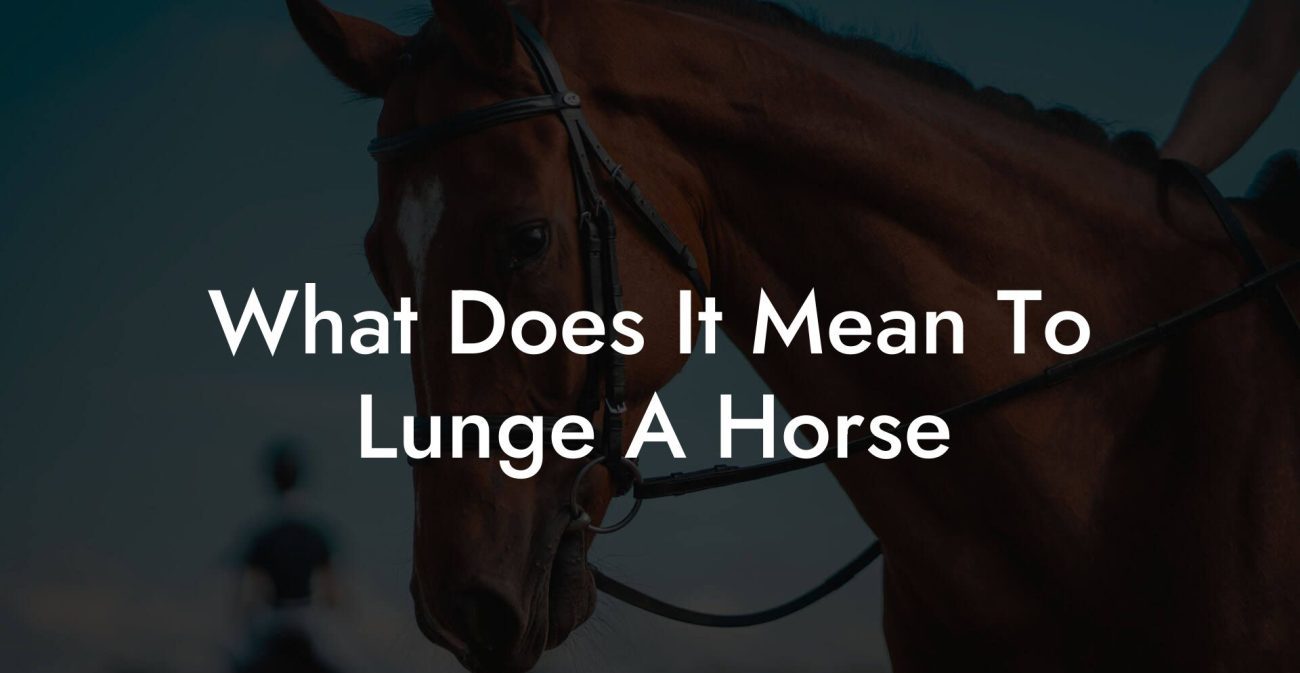 What Does It Mean To Lunge A Horse