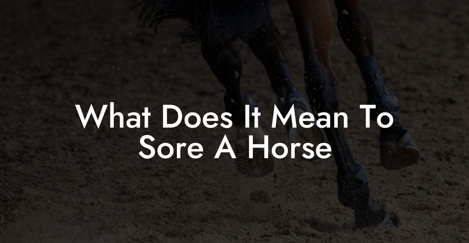 What Does It Mean To Sore A Horse